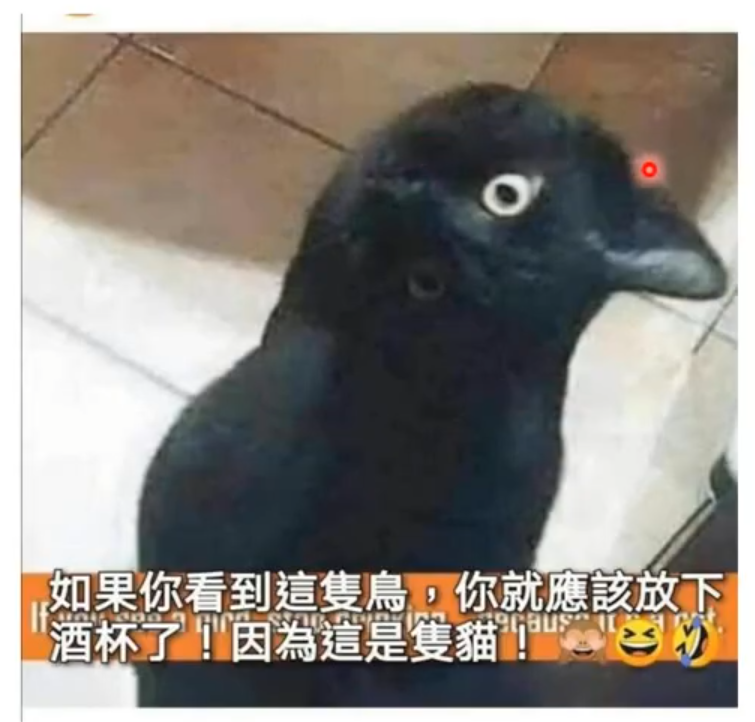 image-20230128130821157